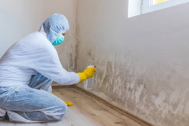 Mold inspector in Essex performing thermal imaging